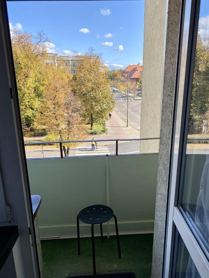 Szmaragdowy Zakatek * Glogow (Glogow)